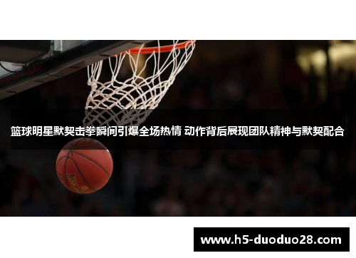 篮球明星默契击拳瞬间引爆全场热情 动作背后展现团队精神与默契配合