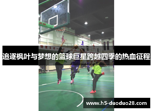 追逐枫叶与梦想的篮球巨星跨越四季的热血征程